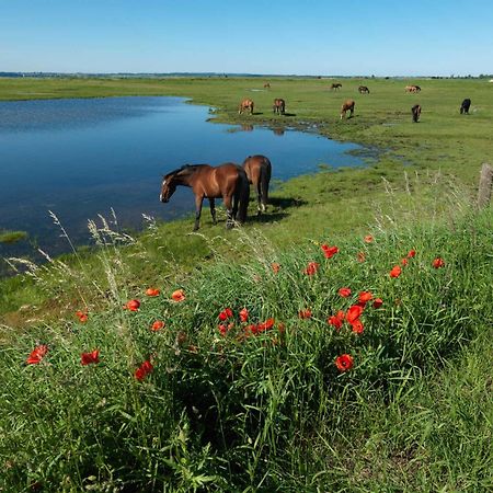 Ostsee Residenz Meeresblick Bellevue Poel Eksteriør billede