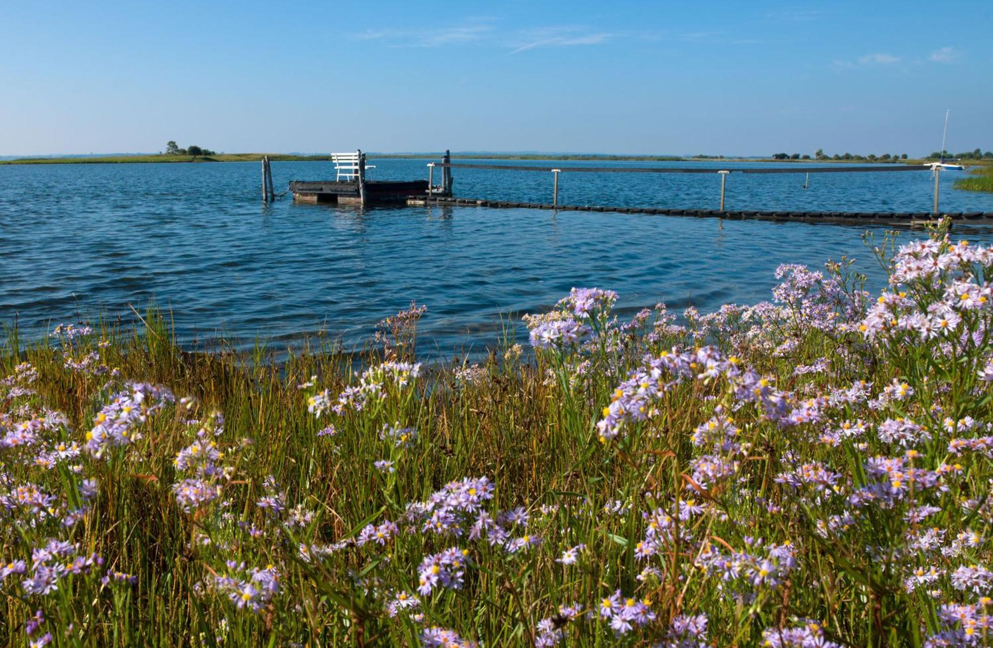 Ostsee Residenz Meeresblick Bellevue Poel Eksteriør billede
