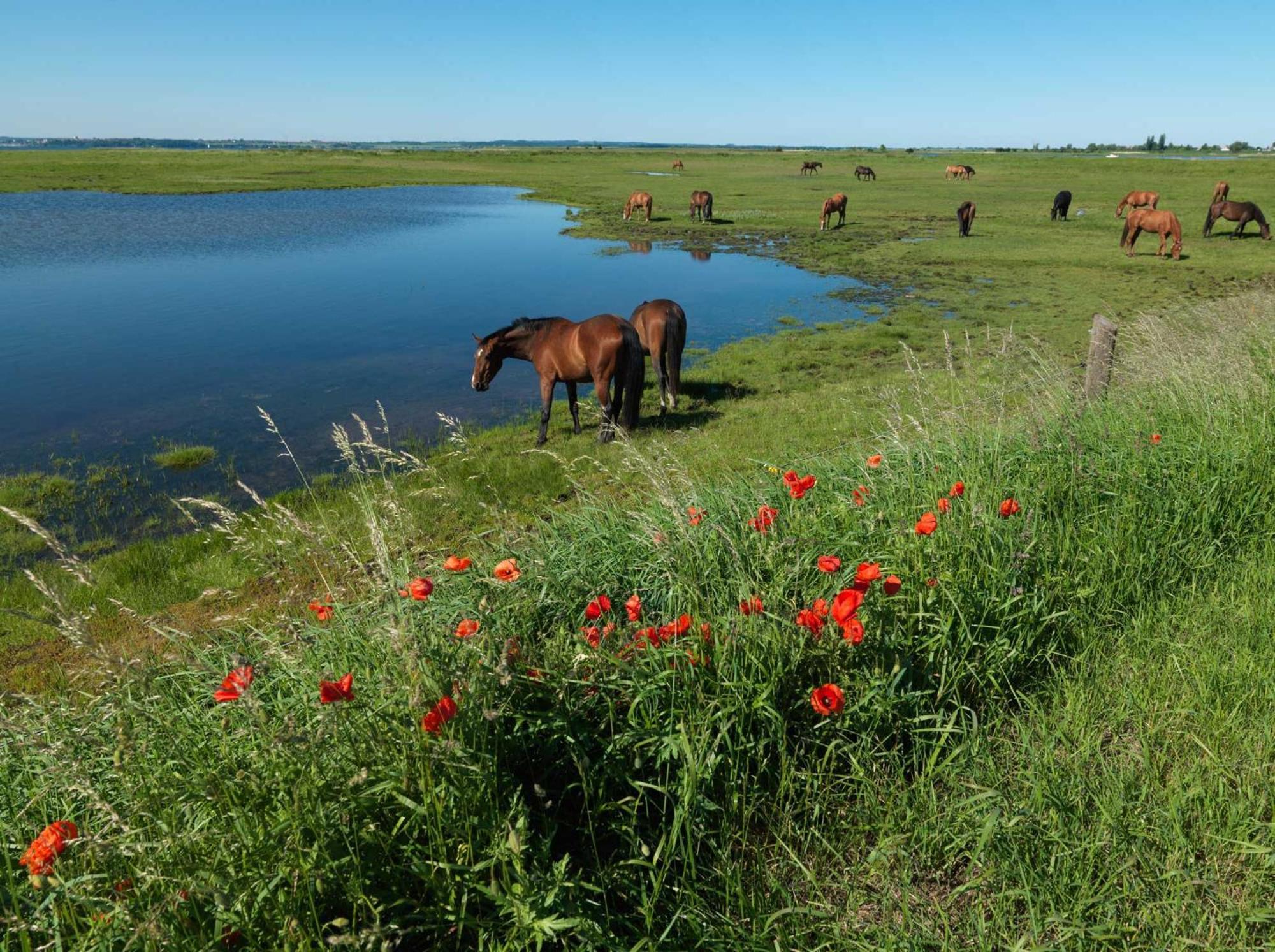 Ostsee Residenz Meeresblick Bellevue Poel Eksteriør billede