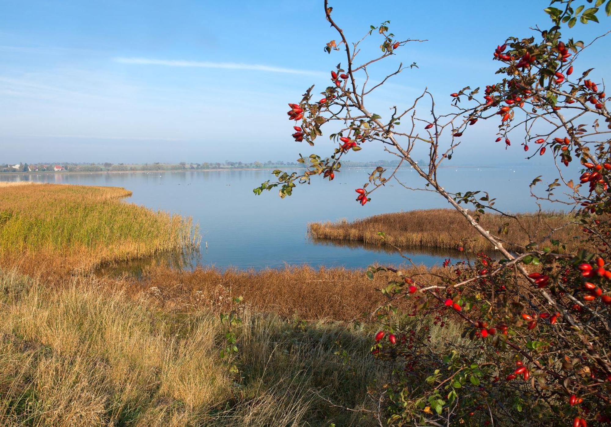 Ostsee Residenz Meeresblick Bellevue Poel Eksteriør billede